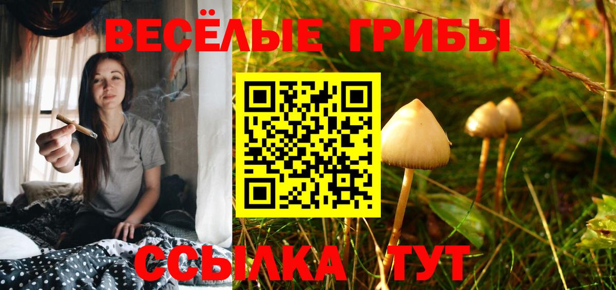 Галлюциногенные грибы Psilocybine cubensis  Вход с VPN  Галлюциногенные грибы Magic Shrooms  Конаково 